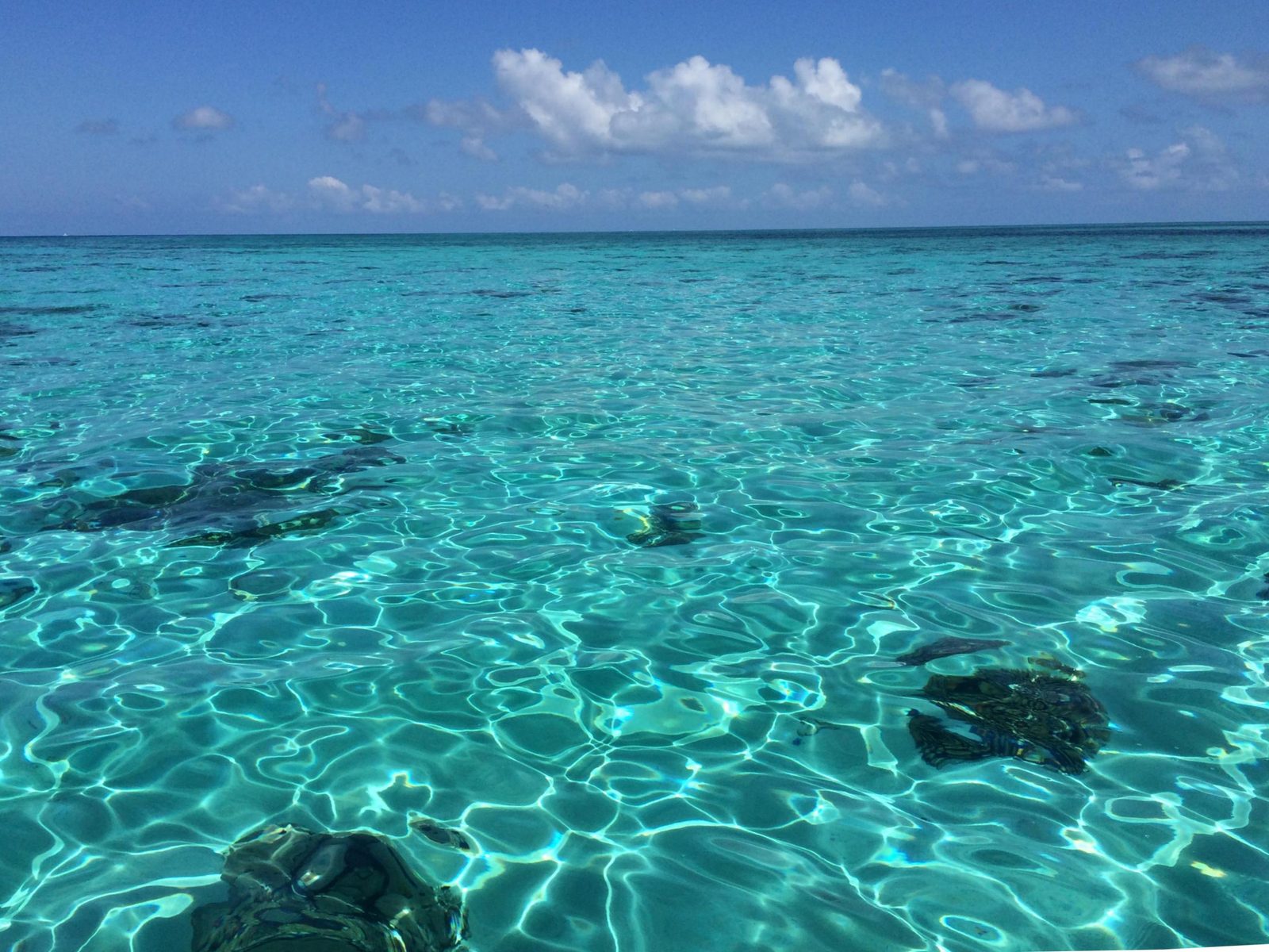 Crystal-clear reef shallows